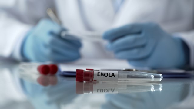 Devetogodišnja devojèica preminula od ebole: Još nema efikasnog leka protiv ove bolesti
